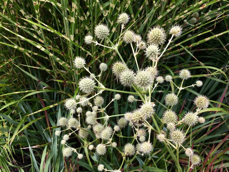 390b52f7-f1a5-4389-9d31-619f67da9b71