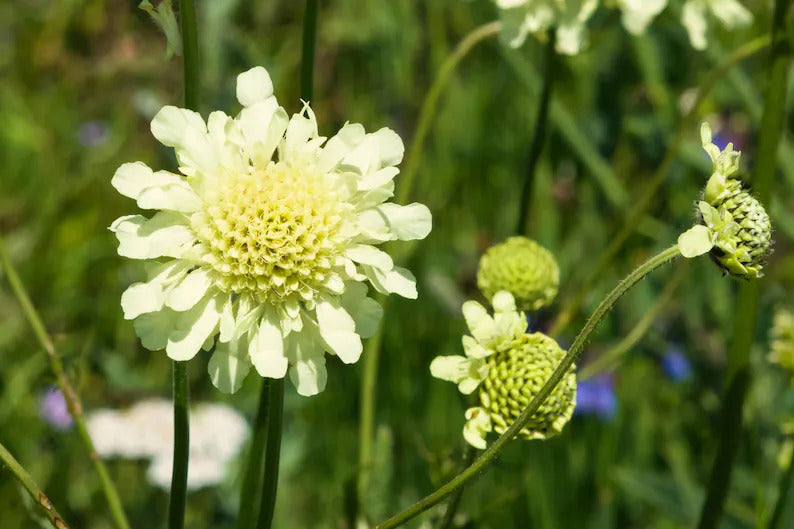 535d2a9e-7703-4383-bb5a-7c20a6c4685a