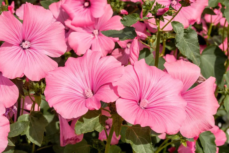 31f26d40-bb6b-43c3-8588-f2eca628e221