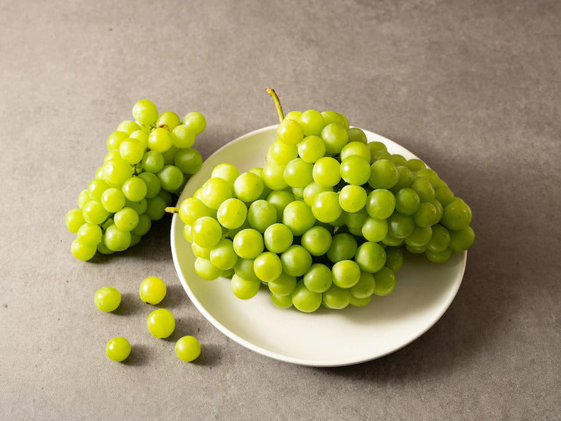 179d05a5-f4a8-4b65-9384-2eea5c1952a0