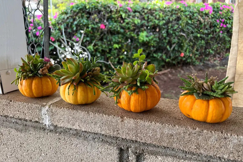 d7d81186-b47d-472d-b087-2e2e3be9dab4