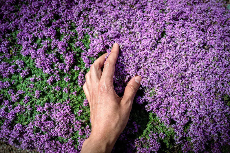 937cb421-5846-4f19-9f8a-ac5679b570f8