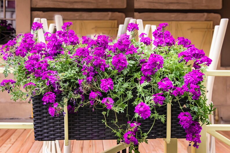 9477b23f-aec0-4cc4-adad-3f3aec542e0f