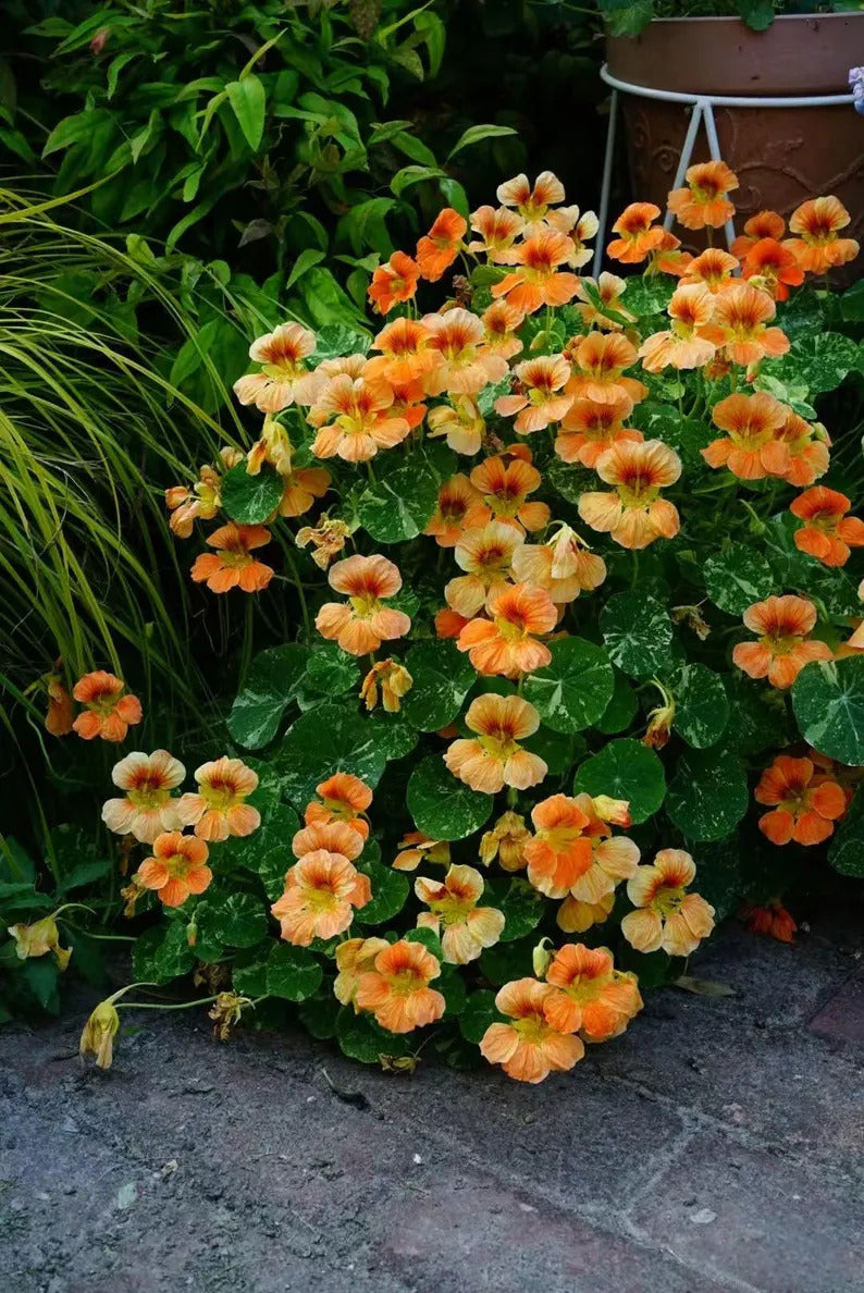 945a6671-f807-4b05-8170-6bd34ab62e82