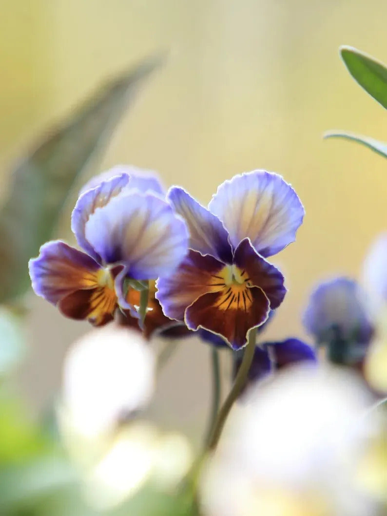 ee1c1d16-d8d5-47f5-a83e-f63b147b2743