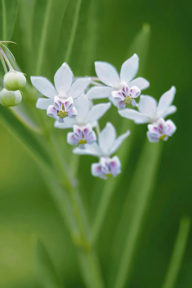 dd845331-6a4f-4209-9380-dc257829fd0d