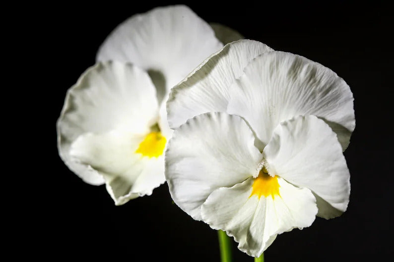 066ad482-ab8d-421b-960a-f5aa5ba9a5cf