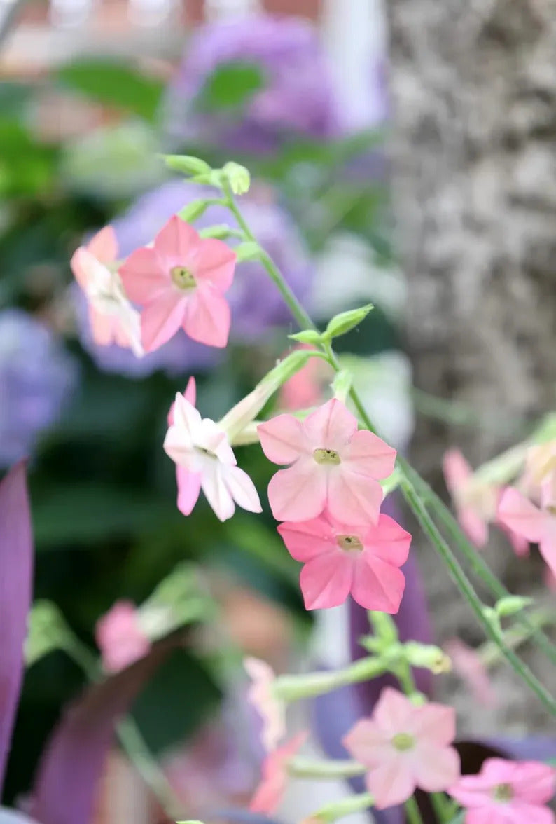 fcc2d559-55d4-424a-bea4-e77e08c7e61f