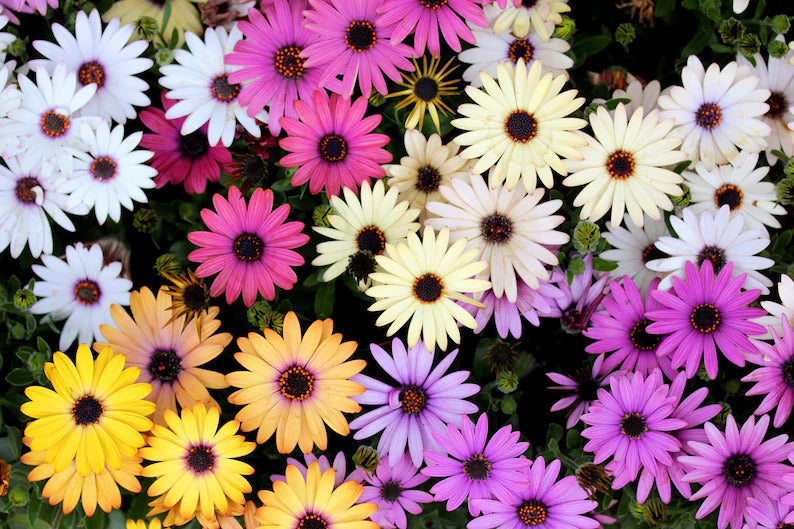 e81675c8-8540-4022-b03f-cca2243e64c7