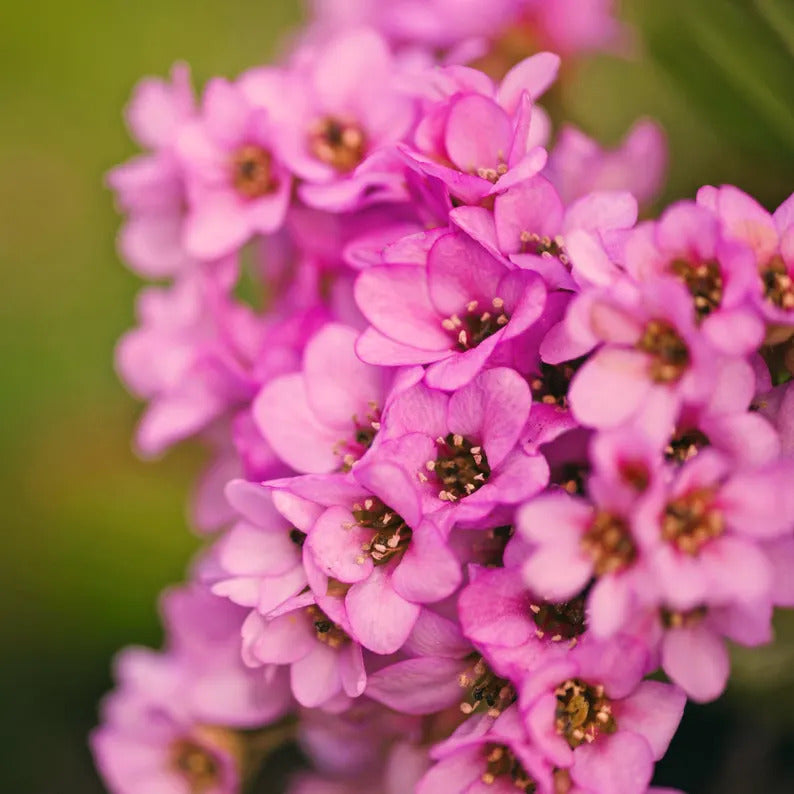 82cfe478-83bf-424d-9a51-9882d40d8a28