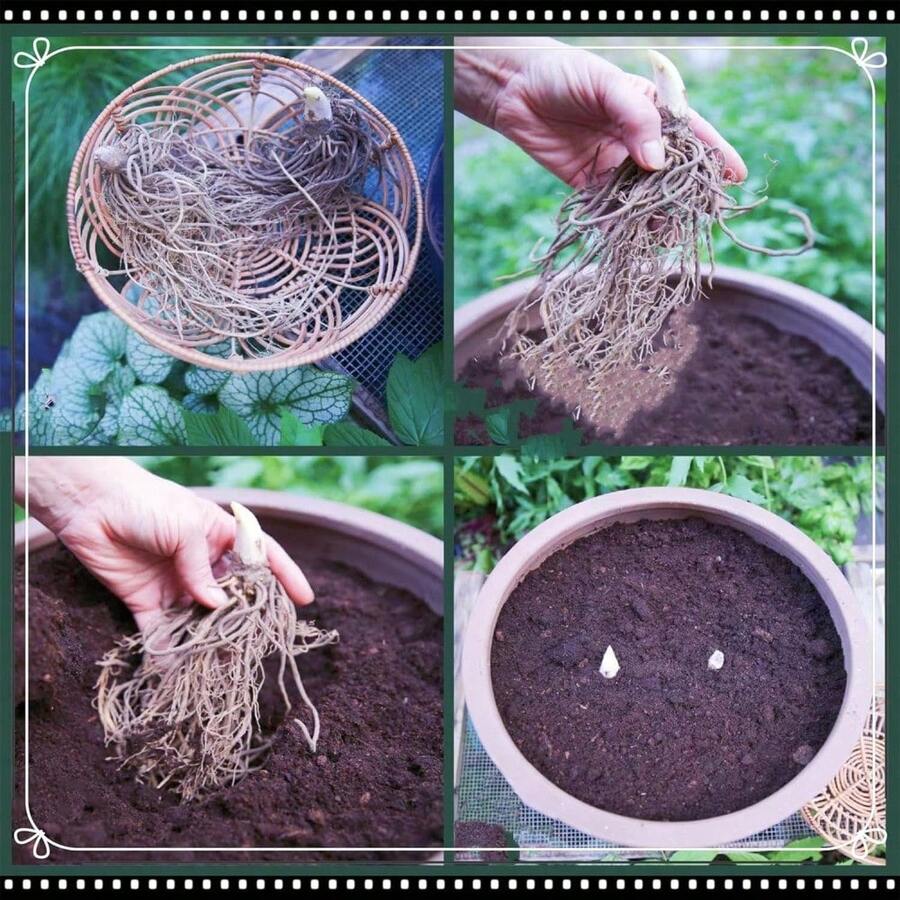 8a47377a-1cd6-4e04-9f7d-737afa9423d3