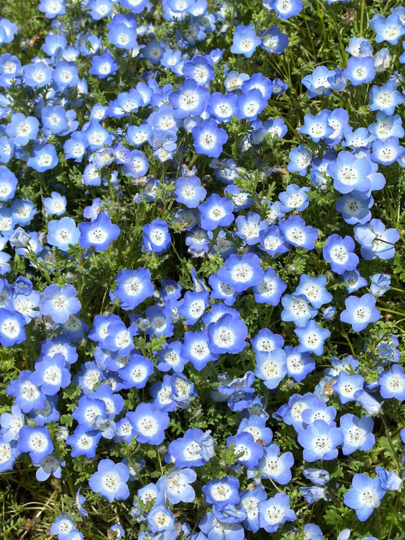 f8965969-f904-43b1-8b9b-6d89a0e4c071