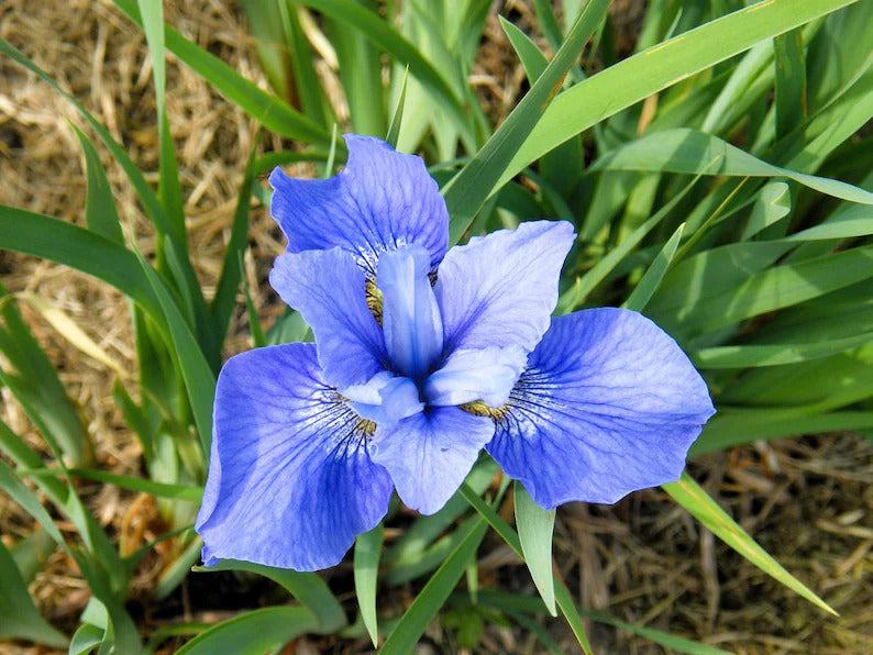 dbc49ba3-e358-4415-80e1-411823f3aba9