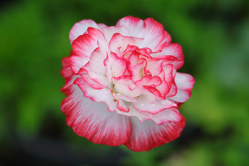 9a419318-f02b-4968-ad3f-88b8011332ca