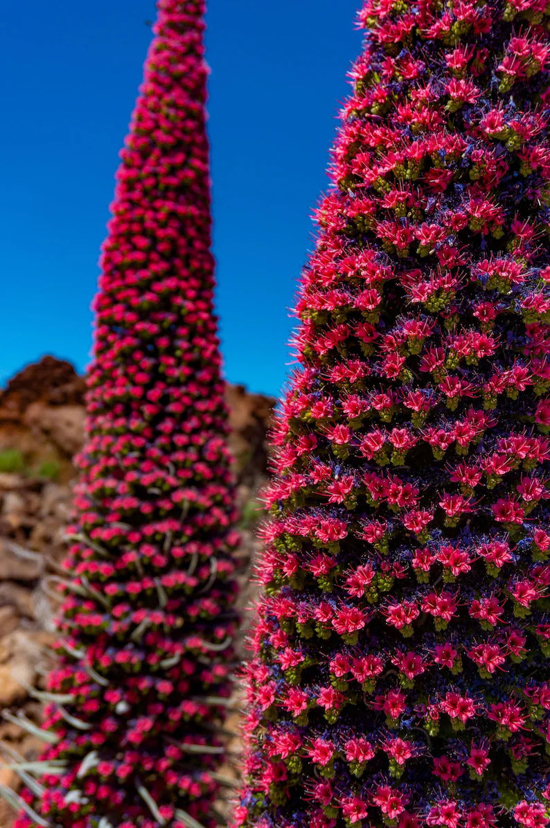 5b477889-620a-4c04-aae1-91d5b151370f