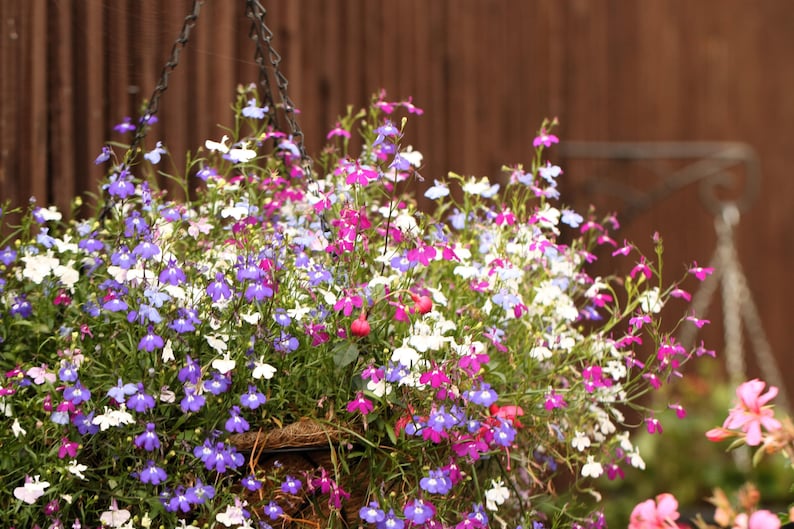 f2bedf3d-e892-418f-8a0e-3c92e6674cd1