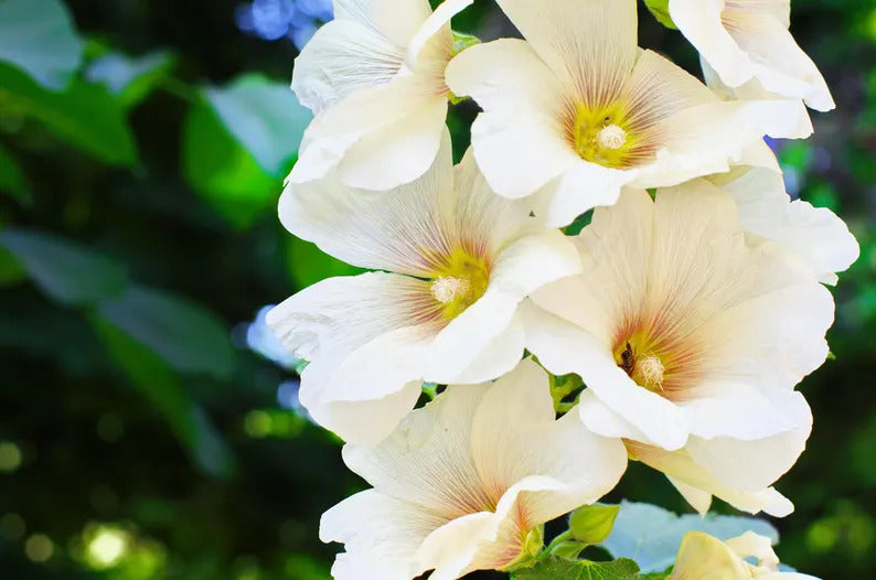 0181ec47-ad08-4ff8-969f-92b99fd86c9a