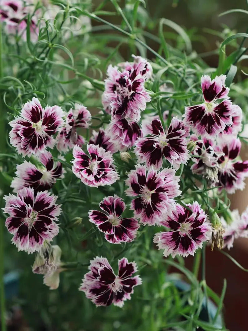 3b79125e-3aef-4875-879e-f82975bc670c