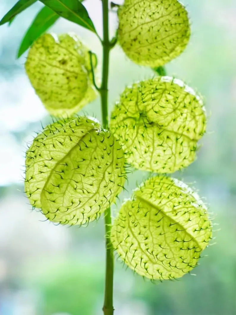 f7b35afd-732c-45d2-876f-894b6478cff9