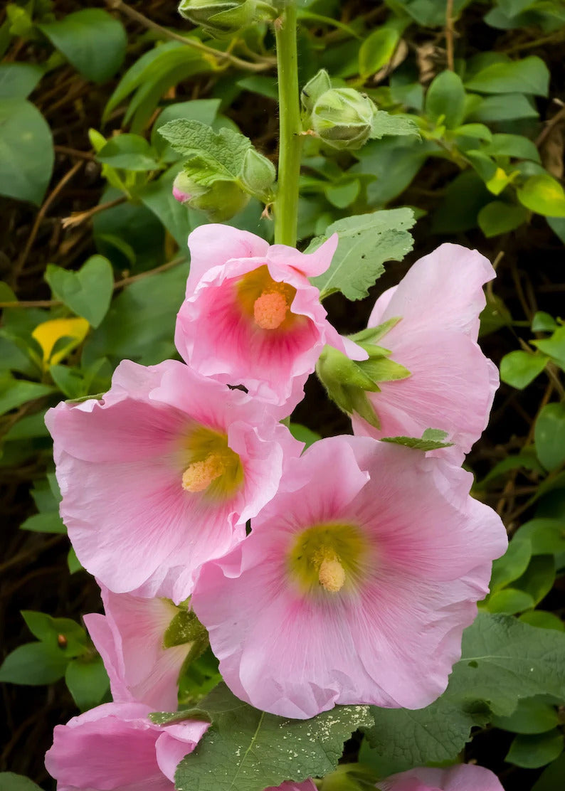 5364584c-16f8-4de3-8fe6-07f75589c617