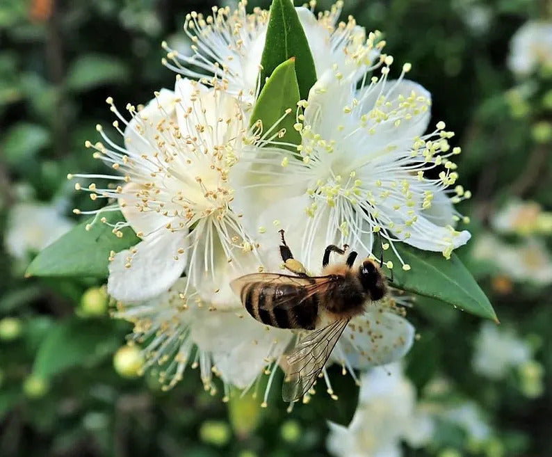 86da434c-d295-4fbe-865e-248d3f8533e8