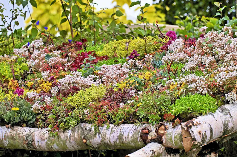 69418434-bbe4-4d62-b18b-7fe22eb17089