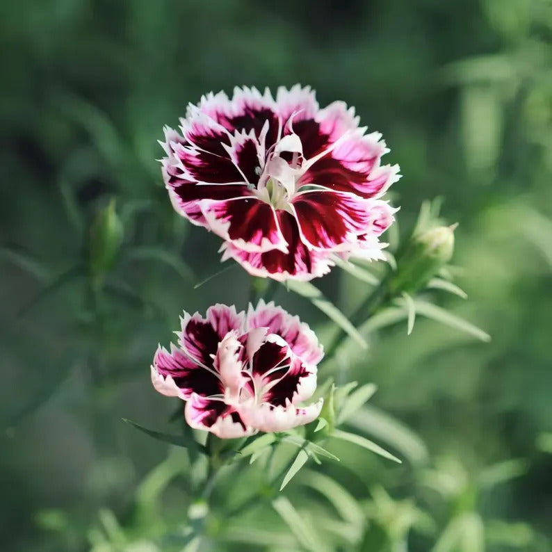 ef6493c0-3831-4d67-accd-c1b80a5b4f1c