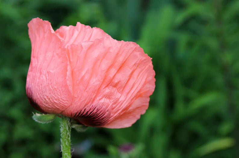 74125780-31b3-4bcb-963c-1ca34393e12b