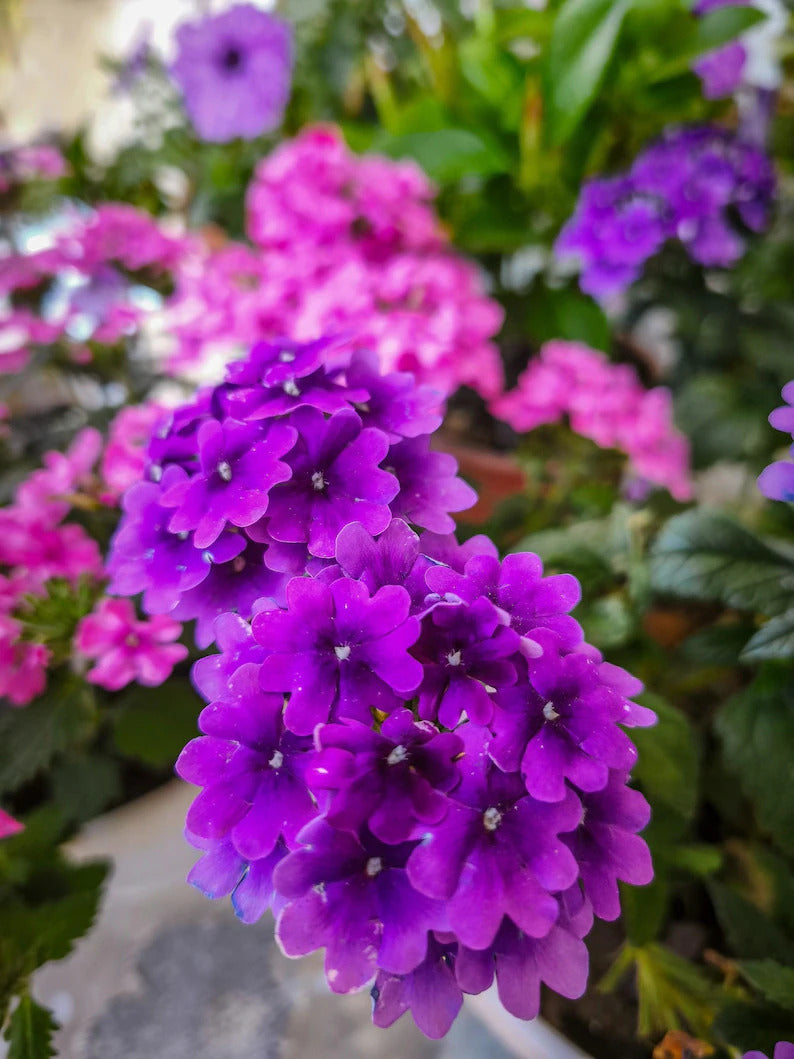 21e95aca-e1e5-4dc7-9611-1f10daaa5d9c