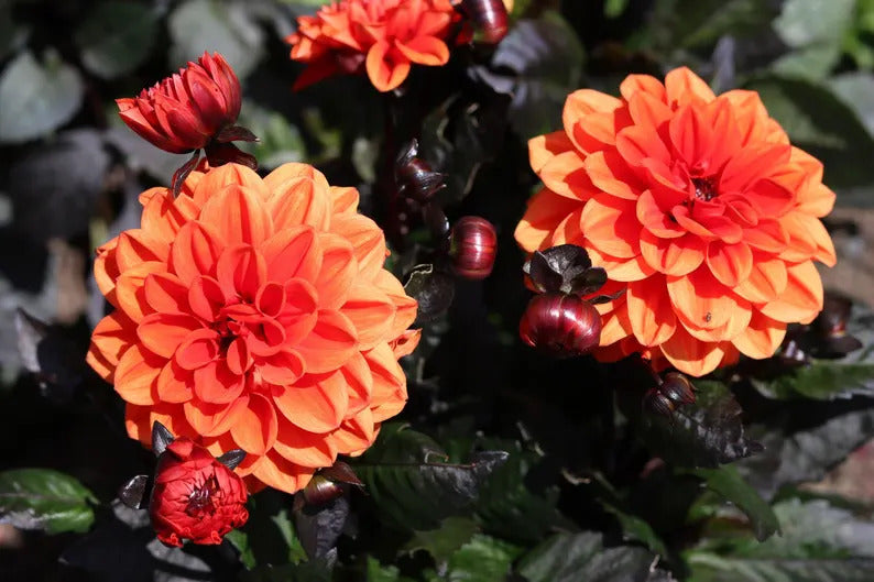 8bea047e-babf-4d8b-baaa-f2fab46c343c