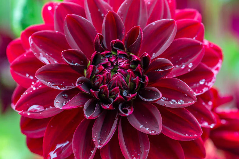 ae47070e-c799-4dd0-8c1f-354818e2b5fb