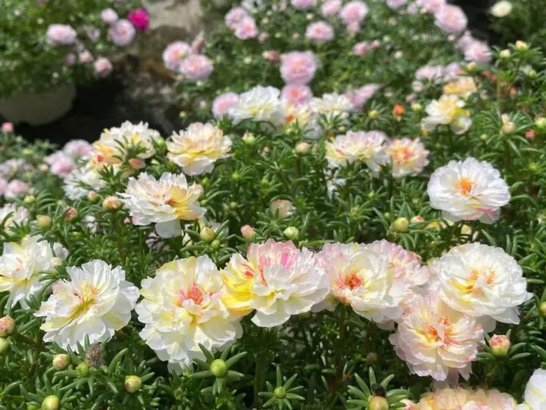 307f6f1d-88d5-42d1-8ed3-cb7bac040087