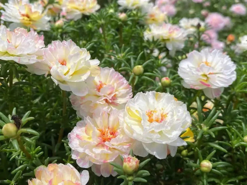 5746d8f6-b278-477c-9fbb-372656756692