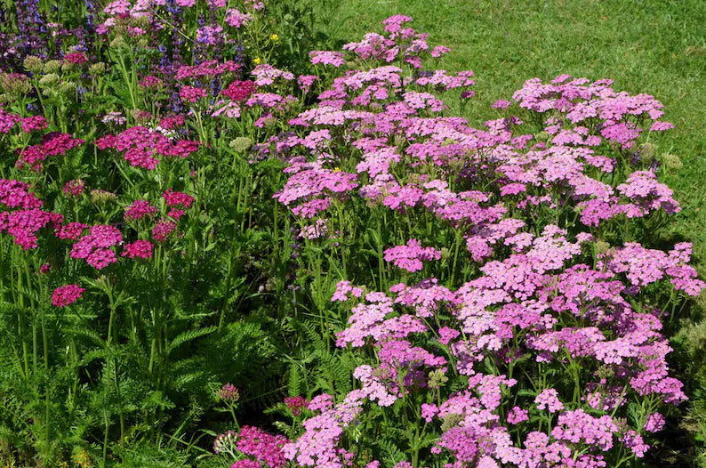 3f64009a-ae65-4c5d-9c61-d50f74106f15