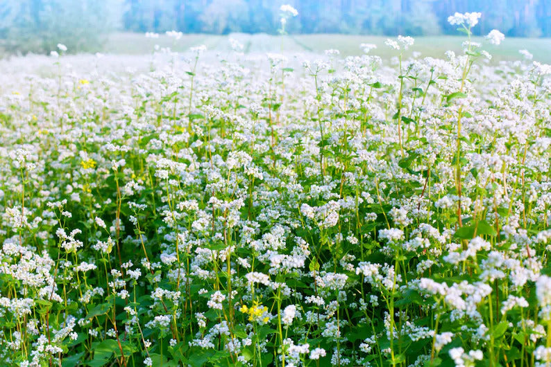 b3edf3cb-76bf-4c29-b7fd-e82f7186cc30