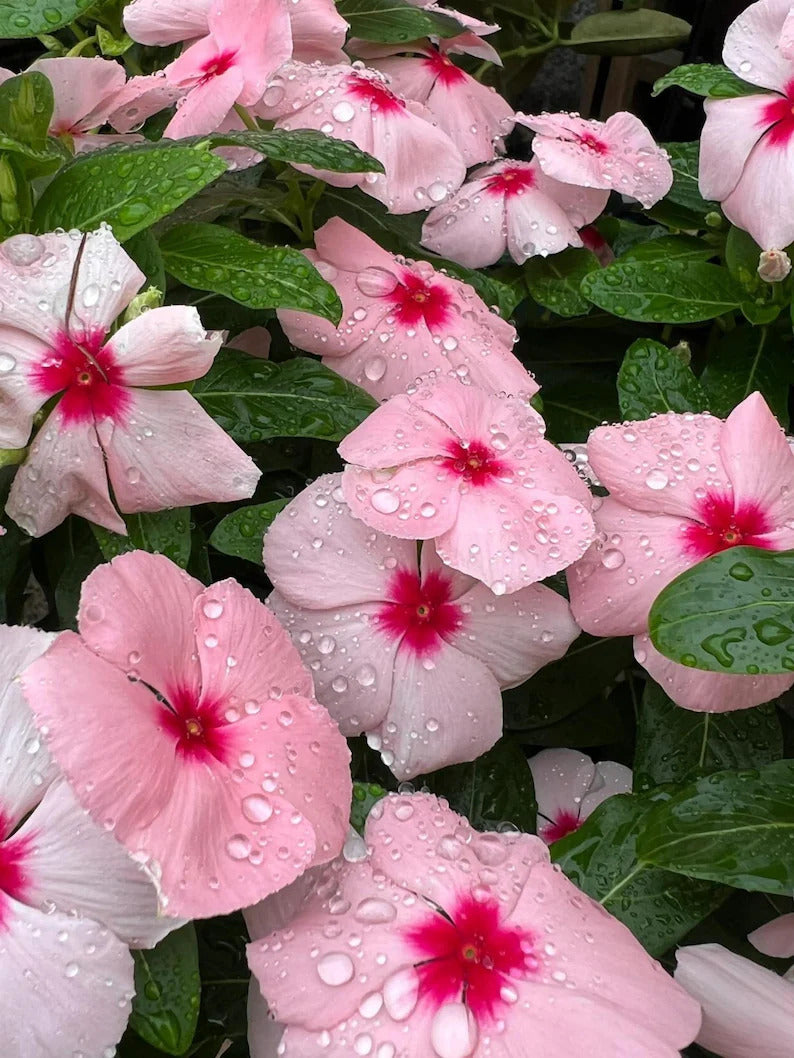 a2c03697-a28f-4b3a-8e0f-b02f2e6a1a22