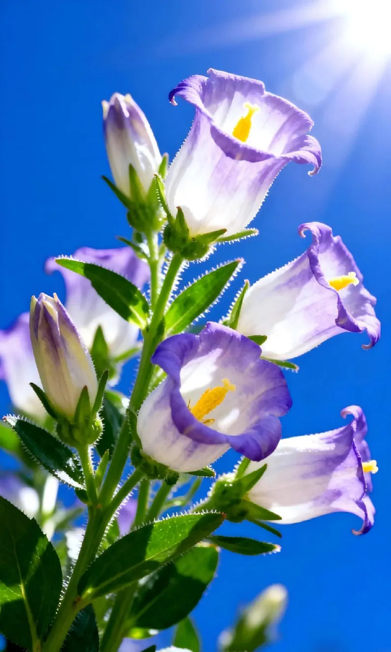 054fd61e-b7c5-4e78-a481-d7fcc2a5ae16