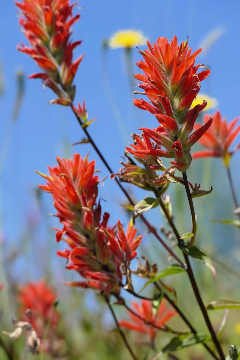 3d1940c9-34a1-4a22-91b3-263755d24fba