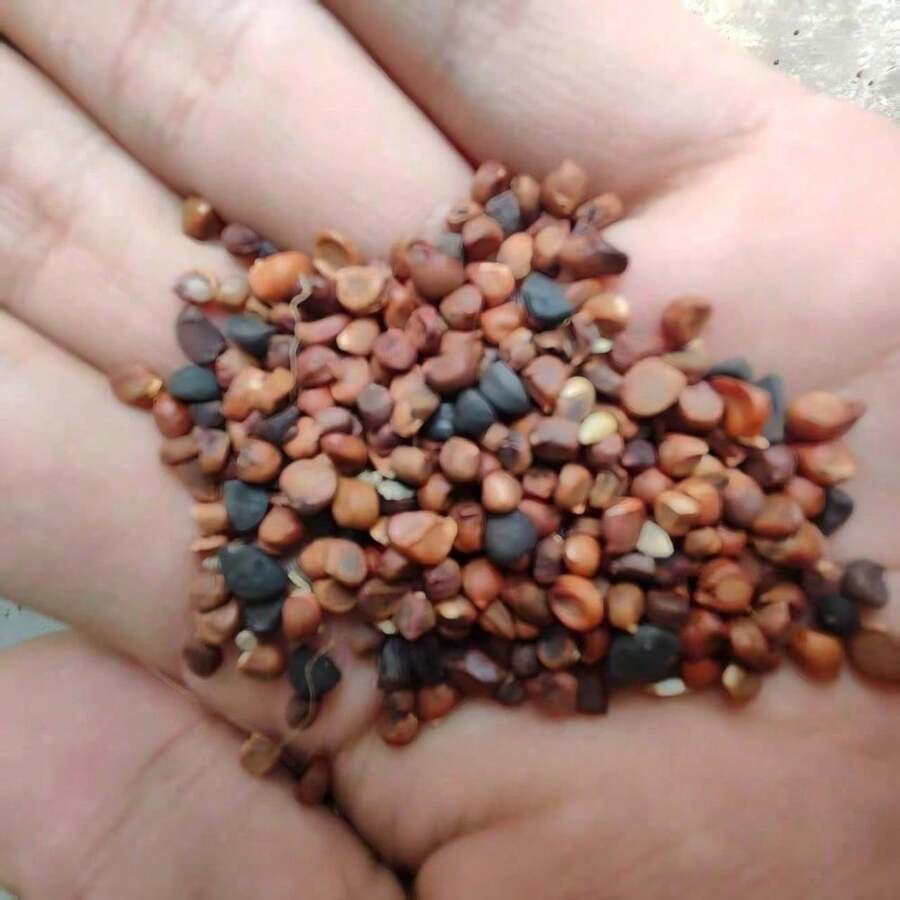 bd15f79e-d73c-46f4-b0ef-119ea423e8bf