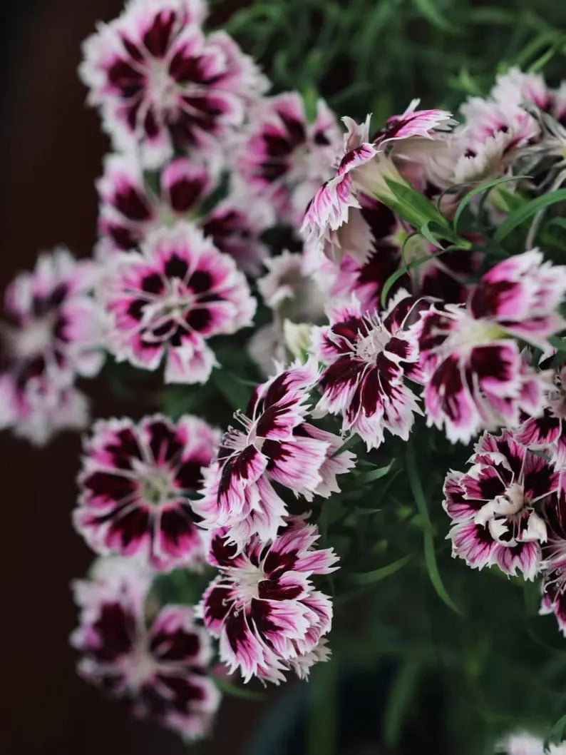 5beda4e4-e590-4589-890c-60783966f902