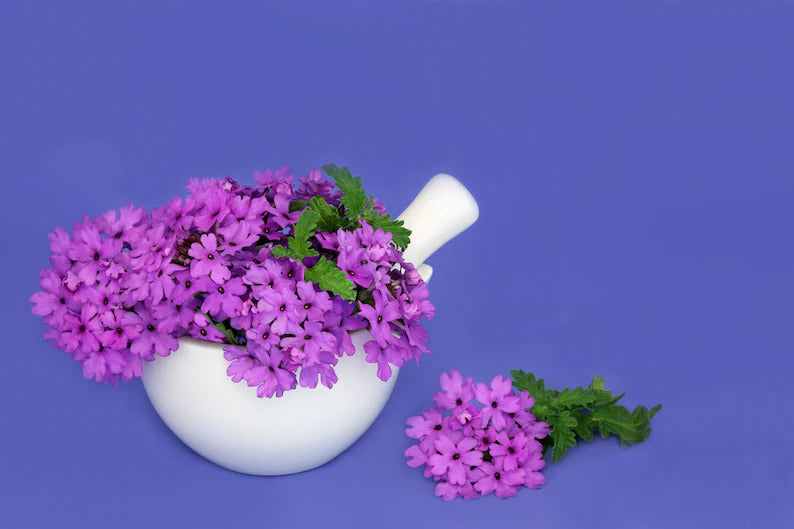 3a0f7650-22ca-49d4-99d3-5e36ed1212b6