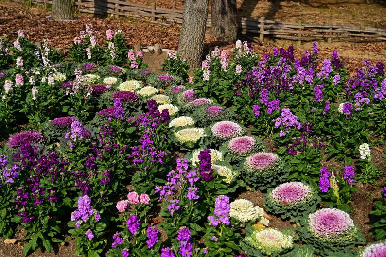 2a4a8d7a-fb10-4827-9a49-9c6cfb9a5810