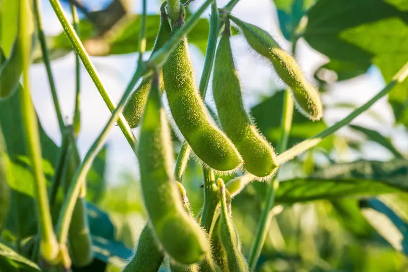 280843b2-9215-4975-acf6-6028f449ce5c