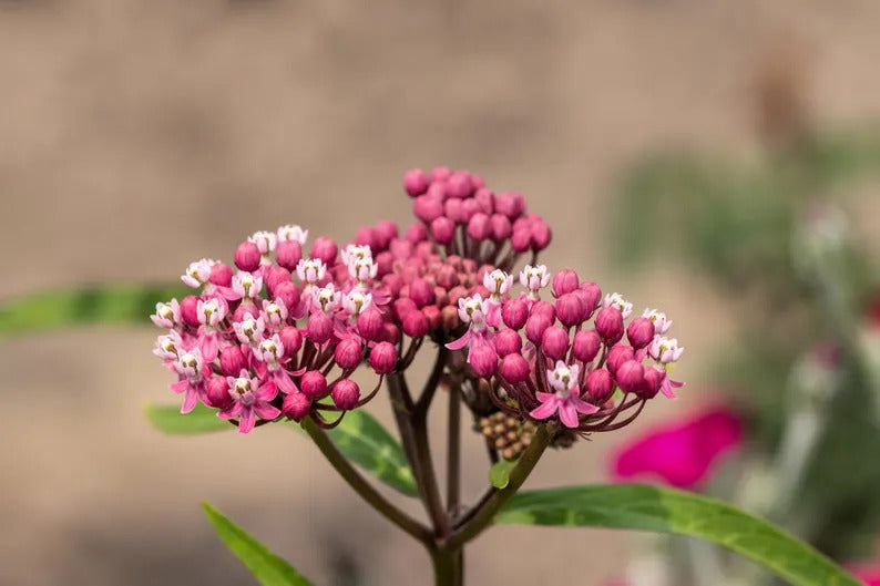 5f5d35a8-2fbe-49d1-ba02-31f0cd97b08e