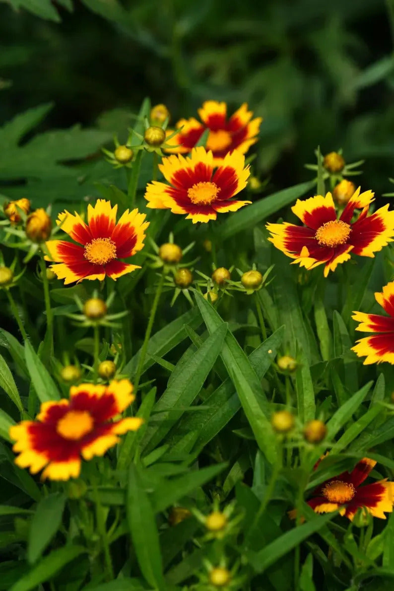 034aa522-af6f-40b1-9bd2-db907eaf83f7