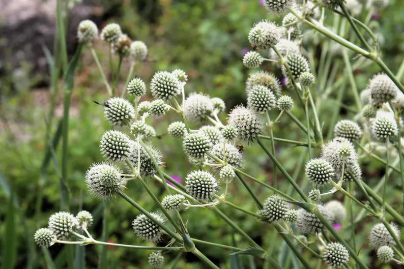 0b4b9a8a-db63-4b8b-8c76-454d9b2184a5