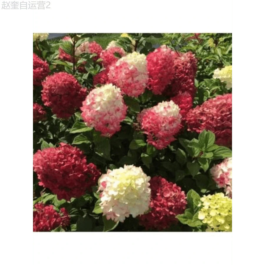 fa2defd4-5f17-4fb0-9528-1a46aba713b6