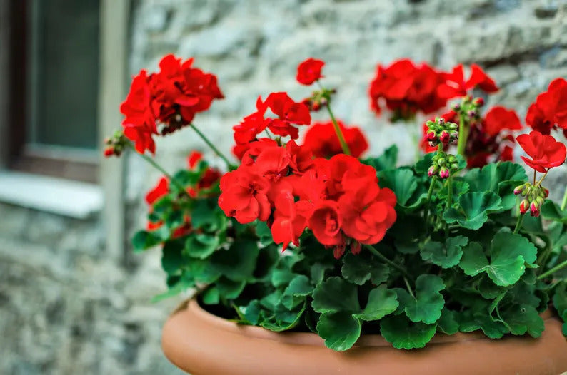 98706d05-6bdb-4f28-9d60-152052a48b90