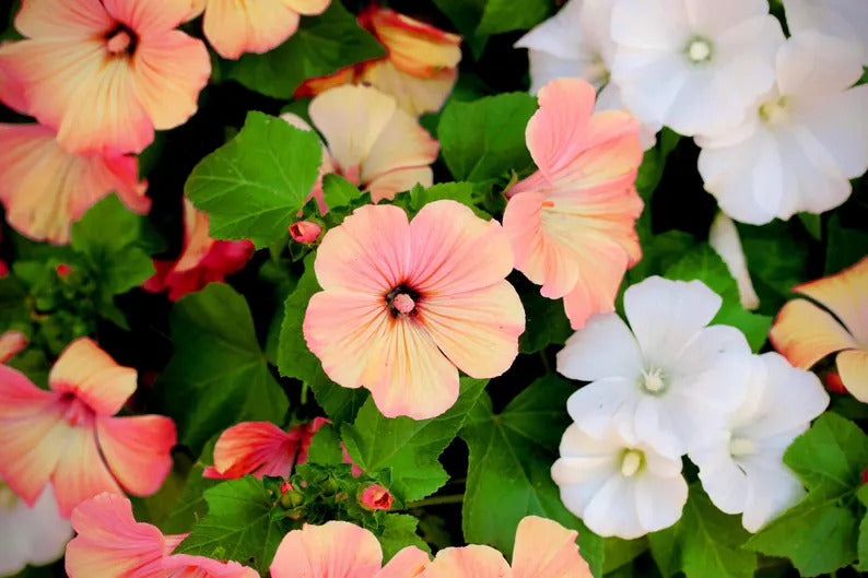 5a1f7b0b-4521-4af6-b18f-5aff1d3bcad1