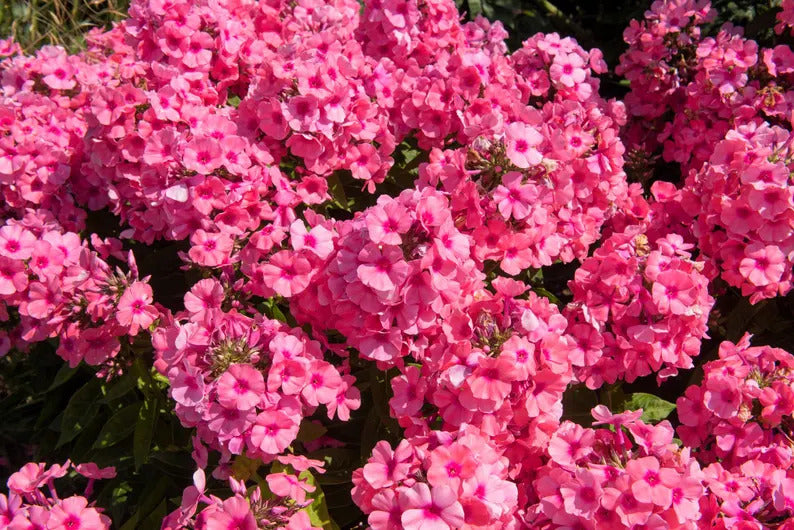 0cbadc42-a892-45f0-be9b-5c87bccc0395